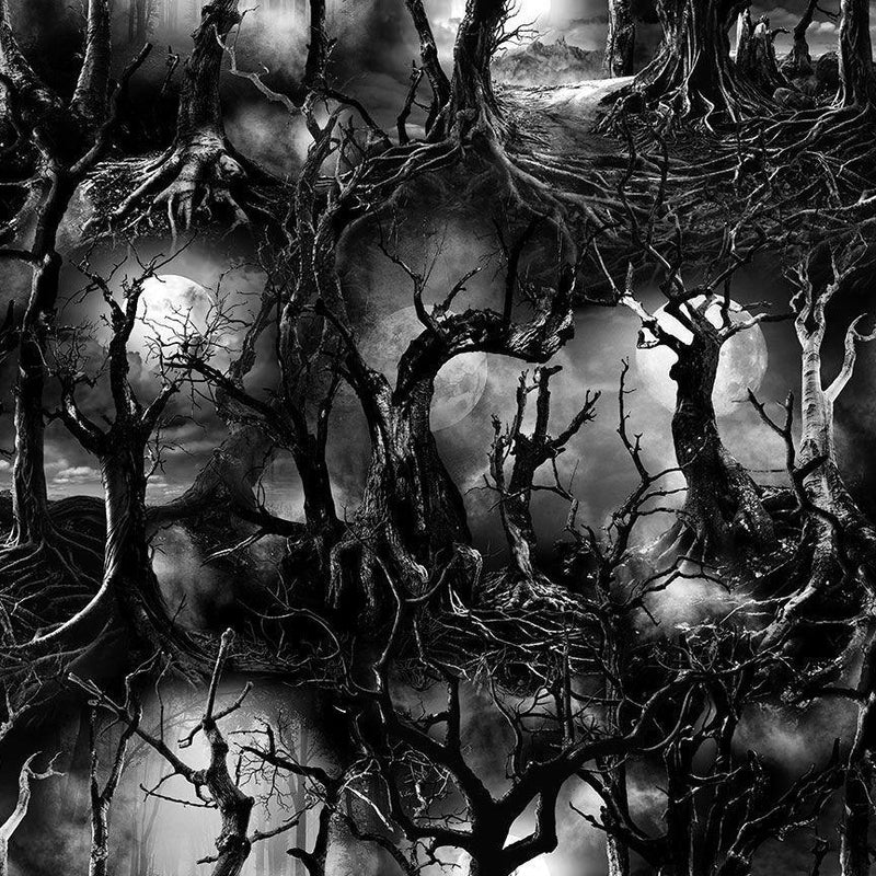 Timeless Treasures Creeped Dead Trees Wicked Spooky 100% Cotton Fabric 44/45" wide WICKED-CD2763  SPOOKY