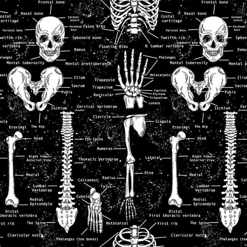 Timeless Treasures Skeletons FUN-CD9810 JET