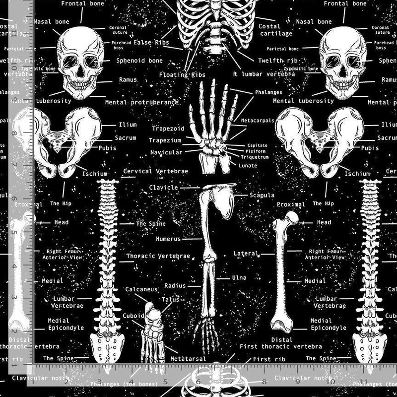 Timeless Treasures Skeletons FUN-CD9810 JET with ruler for scale