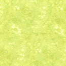 Timeless Treasures Solid-ish Watercolor Texture Pear KIM-C6100 PEAR