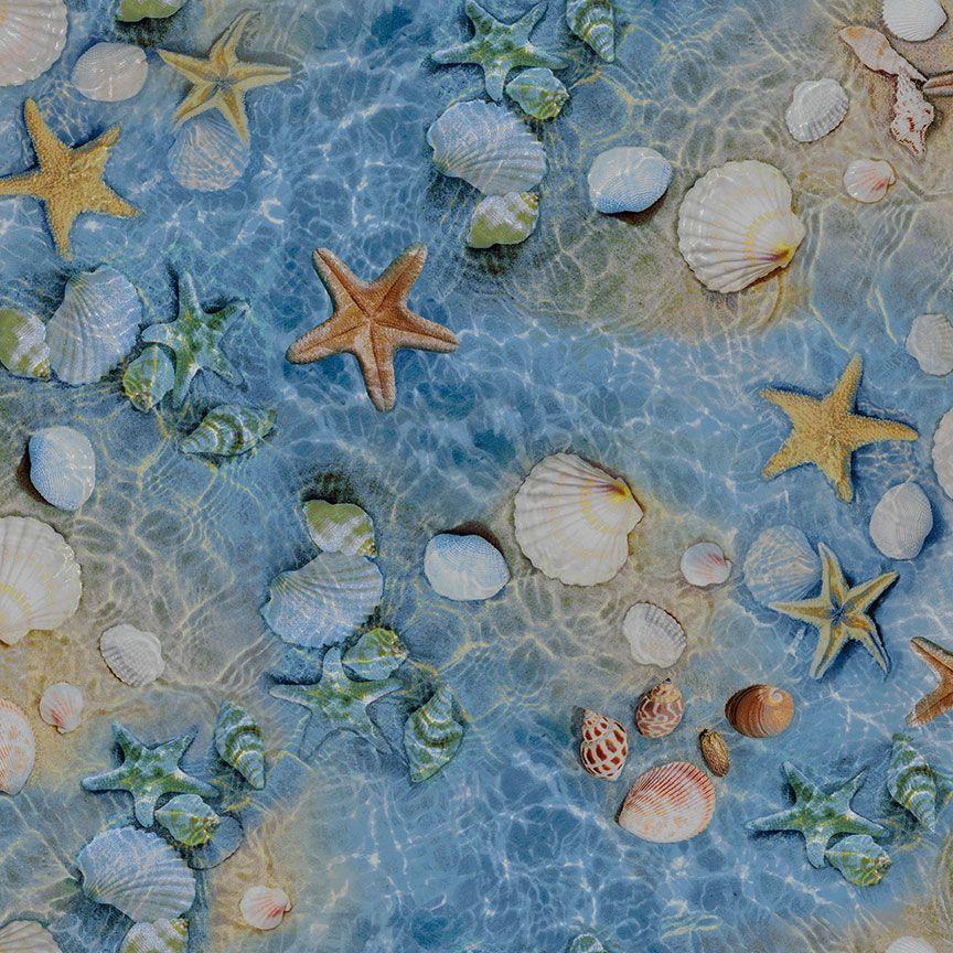 Chong Shell Timeless Treasures Water's Edge by Chong-a Hwang Shells and Starfish B