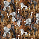Timeless Treasures Wild Horses Packed Horses Multi HORSE-CD3484  MULTI  - multicolored packed horse fabric