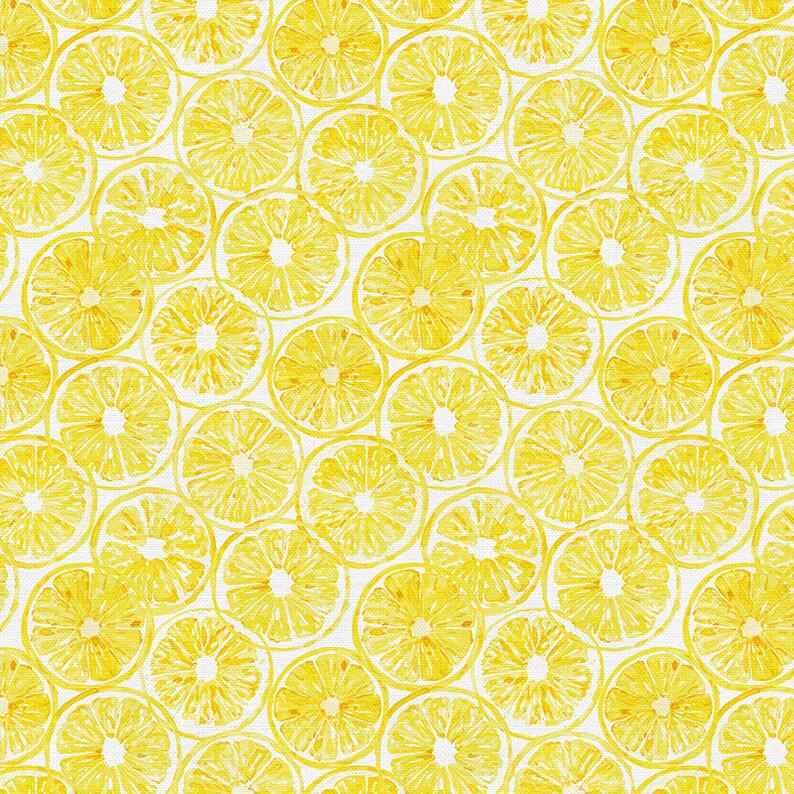 Paintbrush Studio Fabrics Sweet and Sour - Lemon Slice - Yellow/White - 12022615