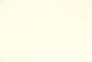 Shannon Fabrics Cuddle Ivory 58/60" wide C3IVORY