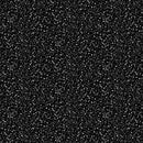 Dear Stella Stardust - Coal STELLA-D2857  COAL - Sewjersey.com