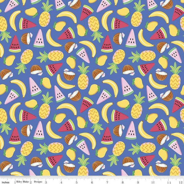 Riley Blake Rainbowfruit by Damask Love - Blue - C10891-BLUE