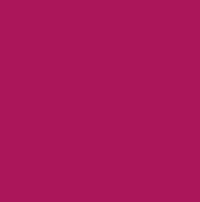 Nylon Net - Fuchsia