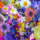 Maywood Studios Hand Picked Quilt Back 108" Wide Back by Nicholas Lapp Sea of Dreams Blue MASQB10860-Z - Sewjersey.com