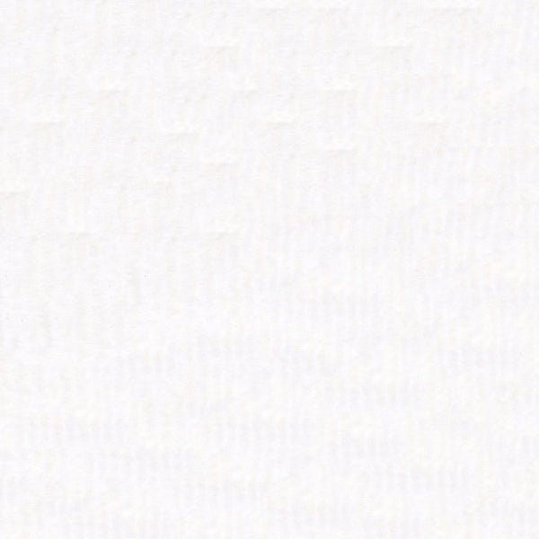 Poly Organza Solids White 60" EESPOO-WHI