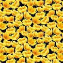 Studio E Hydrangea Garden By Jenie Lee Designs - 5889 99 - Sewjersey.com