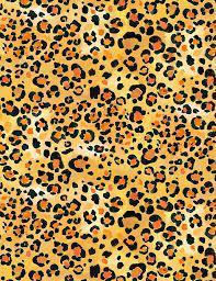 Dear Stella DJL-1777-MULTI