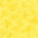 TEAM SPIRIT   COLLEGIATE - Sewjersey.com