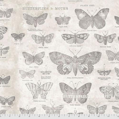Tim Holtz Butterflies Parchment - Sewjersey.com