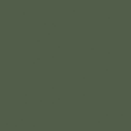 Superior Solids Fern