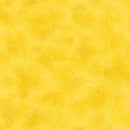 TEAM SPIRIT   COLLEGIATE - Sewjersey.com