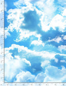 CLOUDS IN SKY SKY-C8463  BLUE - Sewjersey.com